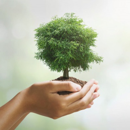 Imagem ilustrativa do curso de Agente de Defesa Ambiental